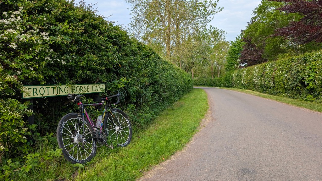 The REAL Trotting Horse&nbsp;Lane