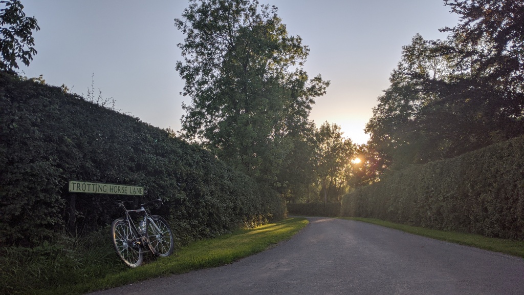 Trotting Horse Lane in summer — sunlit and dry, soft golden light falling across green hedgerows and clear skies above.
