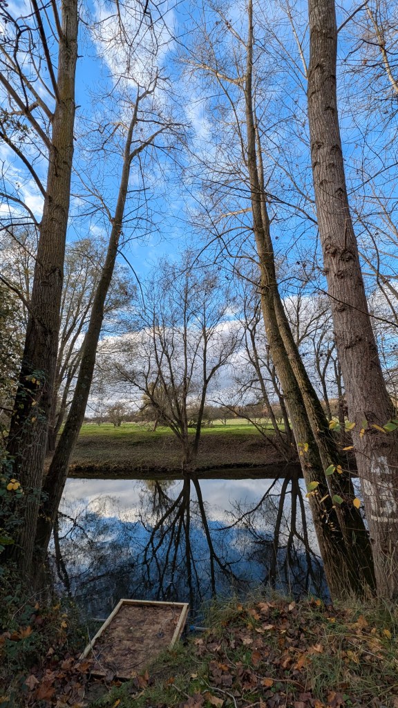 A peaceful riverside scene in late autumn — tall bare trees frame a calm river reflecting the sky and branches like a mirror. A small, weathered wooden platform sits at the water’s edge, surrounded by fallen leaves.